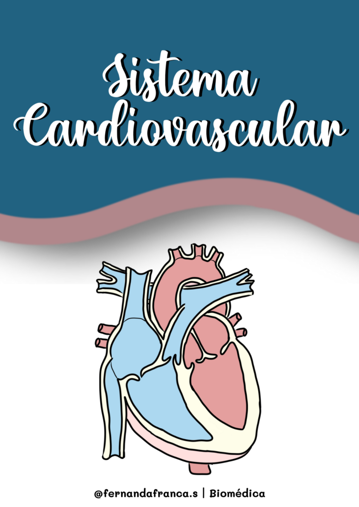 Sistema cardiaco