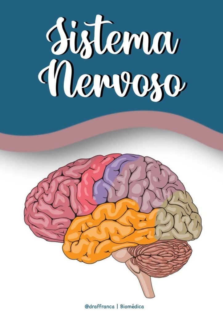 Sistema nervoso