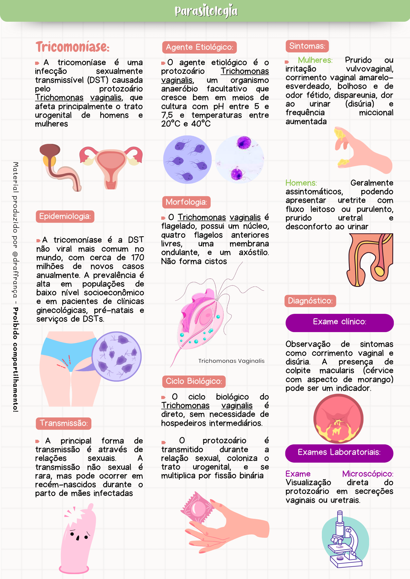 Amebiase (8)