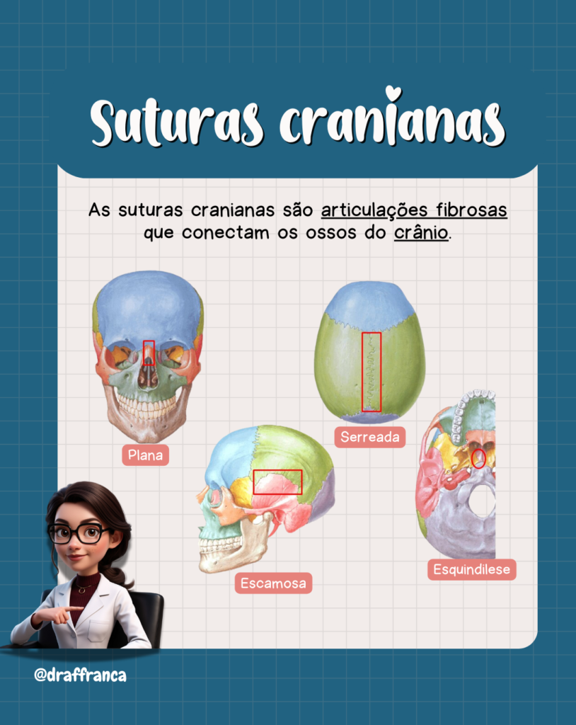 Suturas cranianas